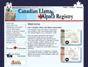 Okotoks Web Design